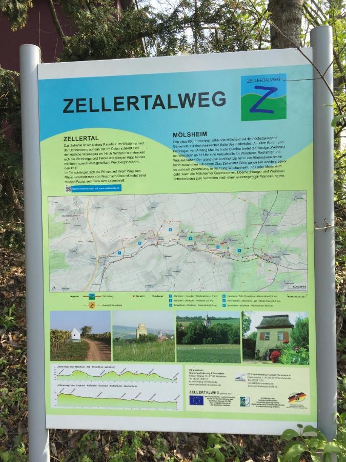 Alte Schule Wachenheim Im Zellertal Wachenheim an der Weinstraße Exterior foto